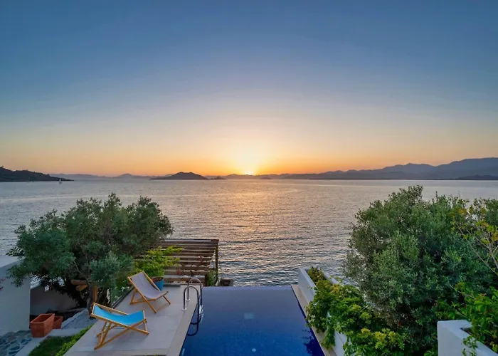 Tekce Knight Island N27