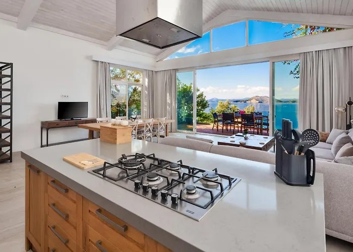 ヴィラ Tekce Knight Island N27 フェティエ