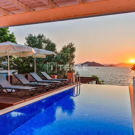 Tekce Knight Island N27 * Φετιγιέ