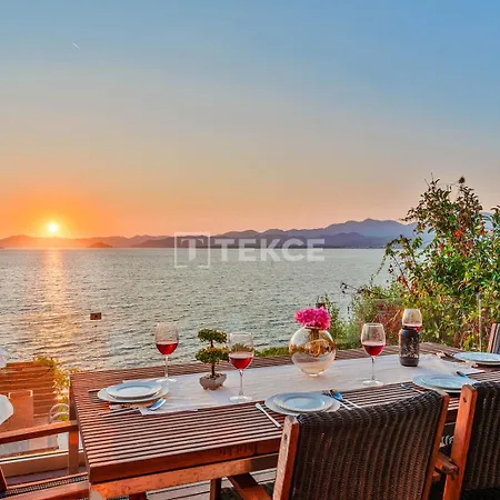 Tekce Knight Island N27