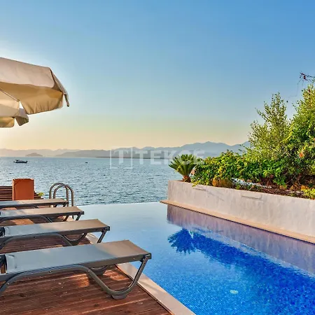Tekce Knight Island N27 Φετιγιέ
