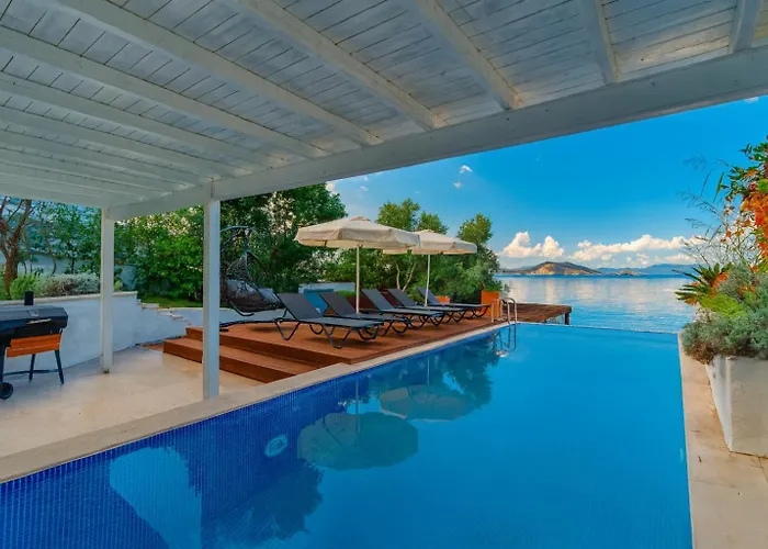 Tekce Knight Island N27 *